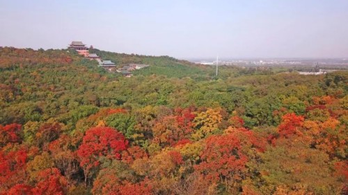点击查看原图