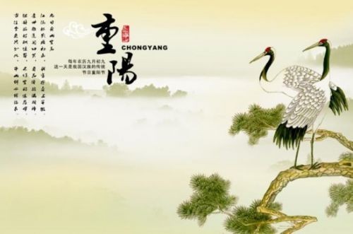 重阳诗篇：重阳节诗词鉴赏