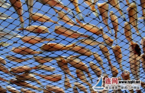 微信图片_20171108175801