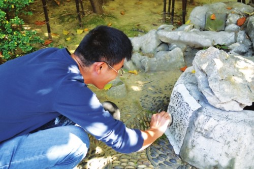 　　在拓市控保建筑&ldquo;桃园&rdquo;内的古井桃园&rdquo;