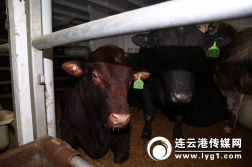 微信图片_201712191358272