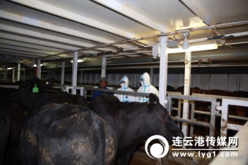 微信图片_20171219135828