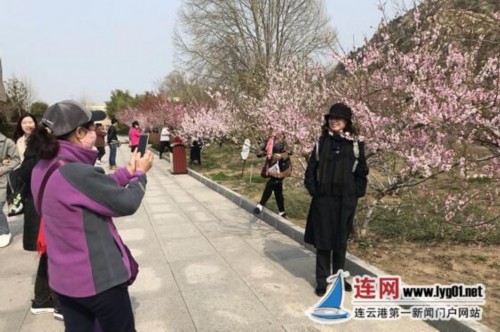 QQ截图20180330101656