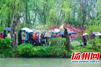 瘦西湖,游人徜徉在红花绿柳中刘江瑞摄
