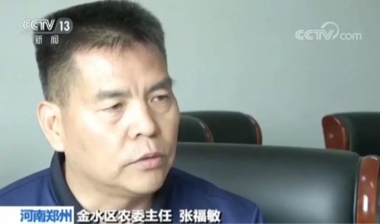 河南郑州金水区农委主任 张福敏