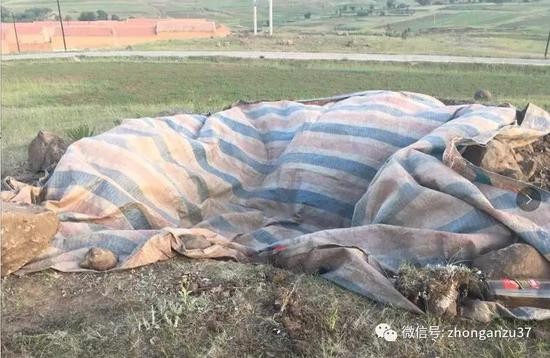 ▲村民提到警方到夜间会在附近土坡上观察嫌犯可能出现的迹象。新京报记者高敏摄