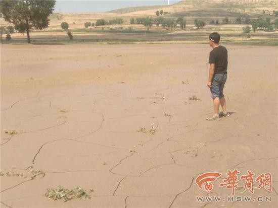 暴雨致2000亩庄稼遭灾 村委会：上面没通知买农险