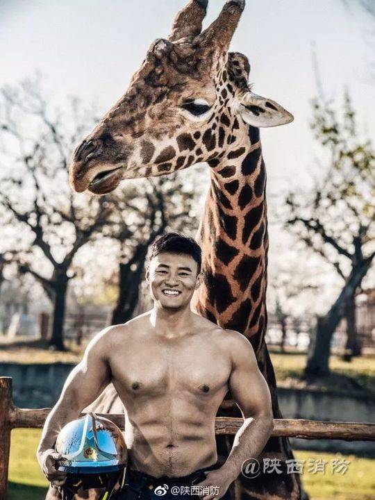 这部消防宣传片火了!网友:奥斯卡欠他们一个小金人