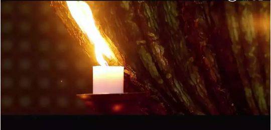 这部消防宣传片火了!网友:奥斯卡欠他们一个小金人