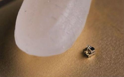 世界最小的计算机和一粒米作对比(美国密歇根大学网站)