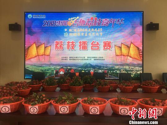 广东惠阳举行荔枝擂台赛