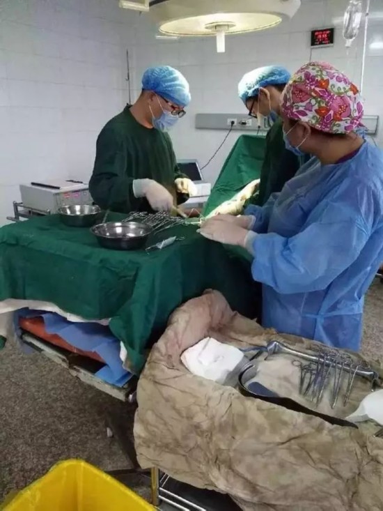 ▲因过劳去世的医生方培虎生前工作照。