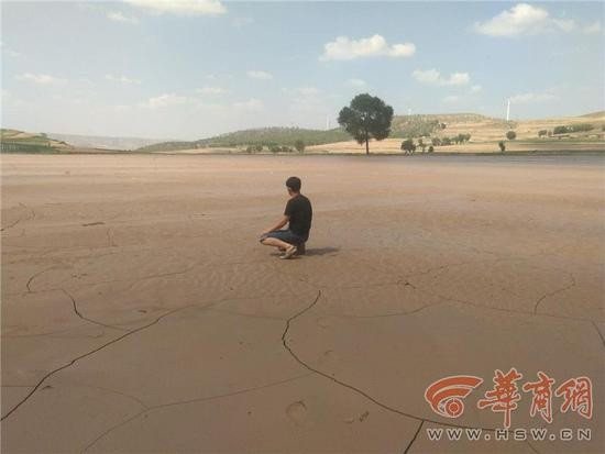 暴雨致2000亩庄稼遭灾 村委会：上面没通知买农险