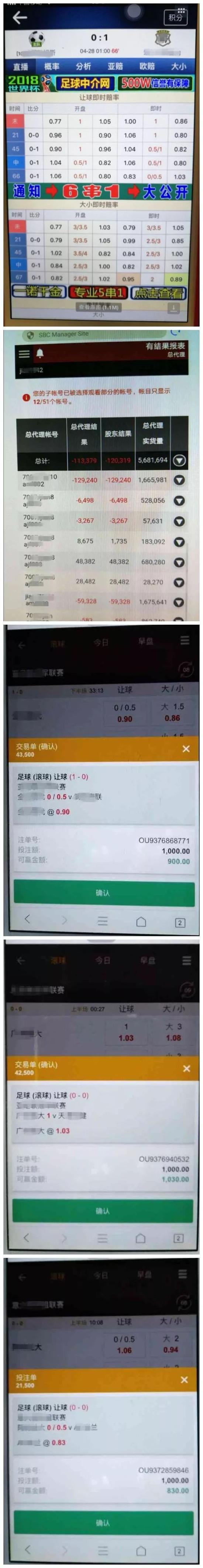 揭赌球背后犯罪链条:传销式拉客 主动让利发红包
