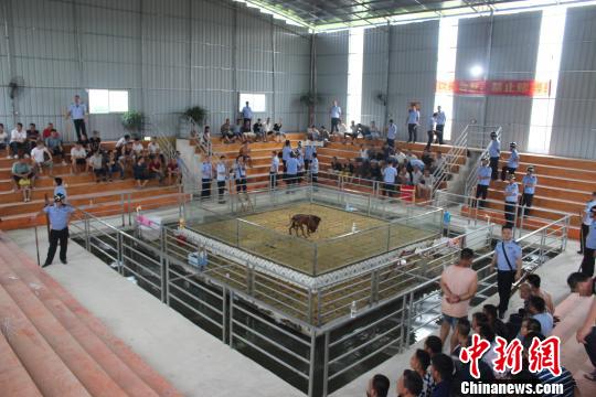 广西灵山警方侦破首例斗狗赌博案60名涉赌人员落网