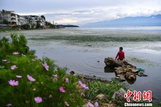 通讯：云南大理老人与“海”守护不再“孤独”