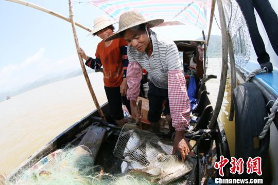 珠江水系西江禁渔期结束渔民开捕忙