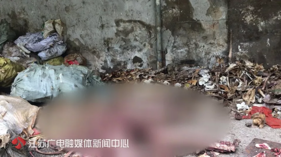 神秘小院传恶臭地上堆满骨头 有人在这办起黑作坊