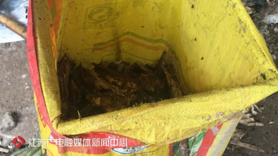 神秘小院传恶臭地上堆满骨头 有人在这办起黑作坊