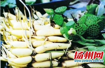 地理标志商标产品“宝应荷藕”