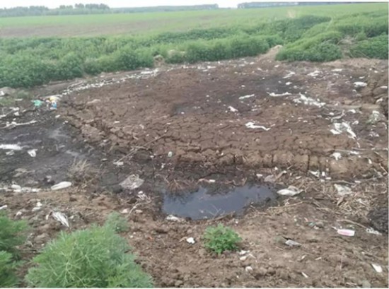 黑龙江省畜禽养殖污染监管无力 龙头企业违规严重