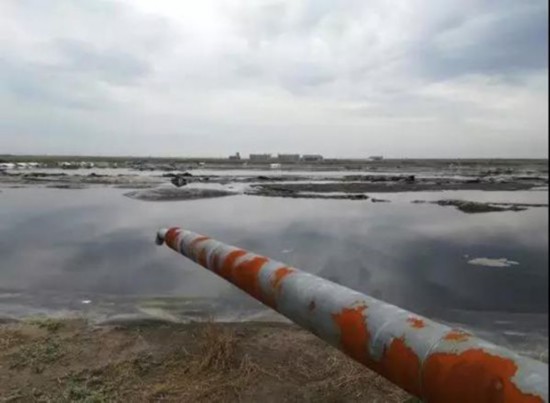 黑龙江省畜禽养殖污染监管无力 龙头企业违规严重