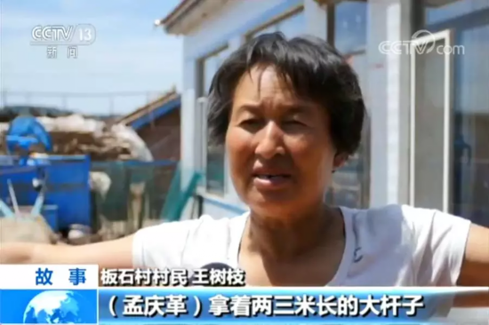 黑老大当贫困村主任打骂不听话村干部 被判20年