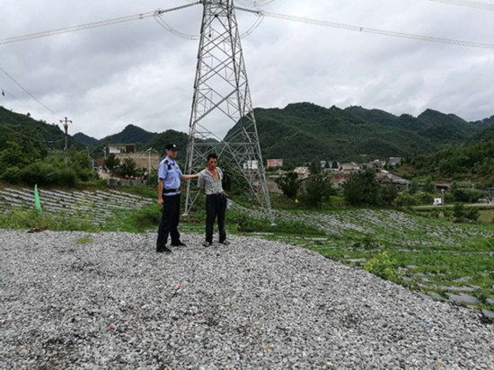 集体土地被收回转租 男子一夜拔光他人7亩辣椒泄愤