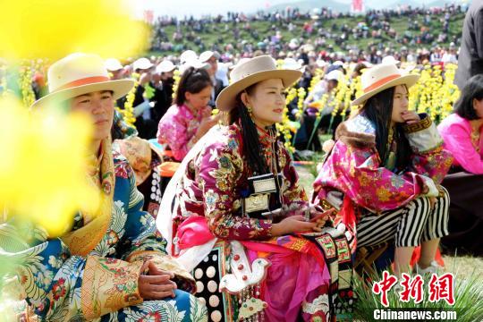 青海门源万亩油菜花开最美花海迎客来