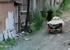 长得太有特点!小偷头一天作案 第二天就被一眼认出