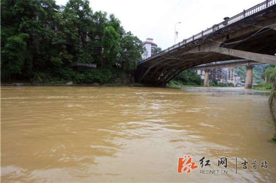 吉首三市民勇救落水女:不要叫我们英雄 这是本能