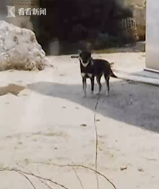 屏幕快照 2018-07-09 上午10.08.50.png