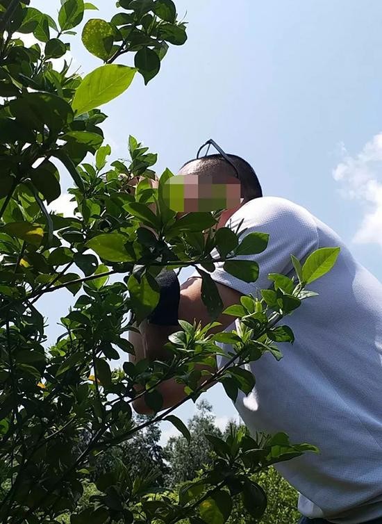 香港籍毒枭重金聘毒师制毒 货还没出就被一锅端