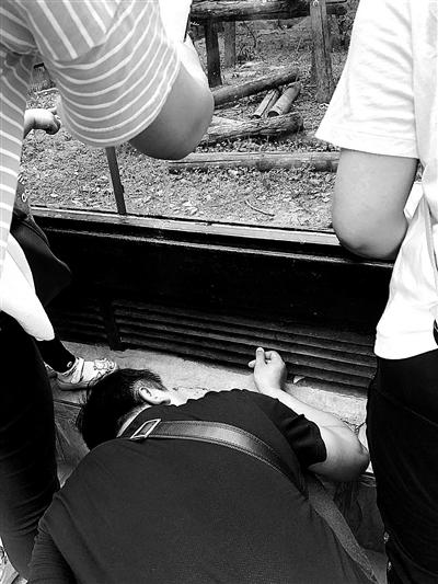 北京动物园游客挂面喂猴成灾 管理员:危及生命