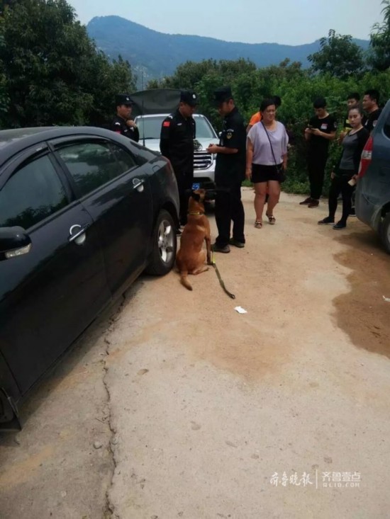 临沂一位67岁老人独自上山采药失联两天，仍在搜寻
