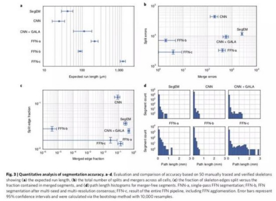 图3：分割精度的定量分析
