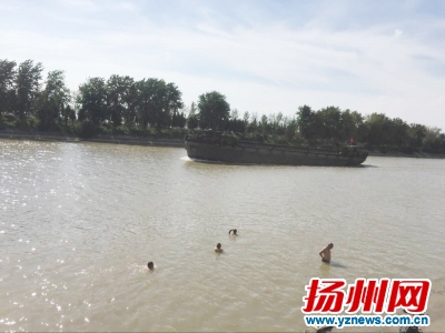 河中野泳者众多