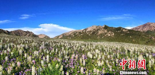 青海省部分地区迎7月以来首次高温热害天气