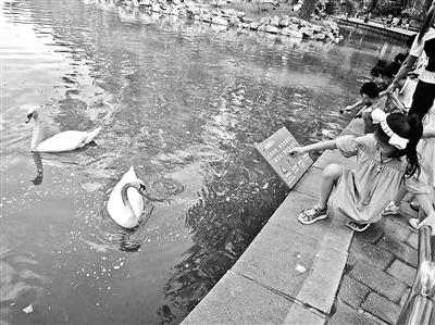 家长带孩子在动物园投喂白唇鹿 与拍摄者发生推搡