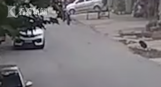 女司机把油门当刹车连撞2名老人 男友示爱主动顶包