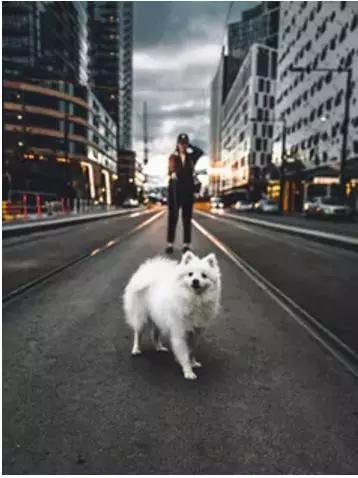 在一个新的背景下,曾经看似普通的事物可以被重新定义为威胁。图片来源:louis amal on Unsplash, CC BY