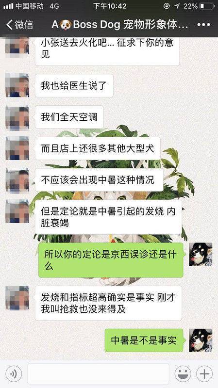 爱犬在宠物店寄养十天后死亡 主人赶到后只见骨灰盒