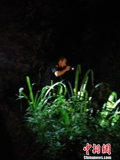 浙江遂昌一94岁老人深山走失警民翻山越岭搜救72小时