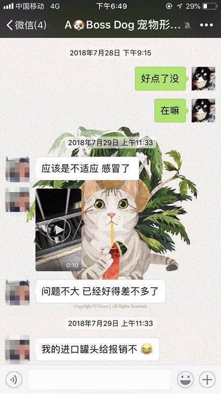 爱犬在宠物店寄养十天后死亡 主人赶到后只见骨灰盒