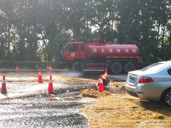 沈阳非洲猪瘟答疑:不感染人 病毒可被高温杀死