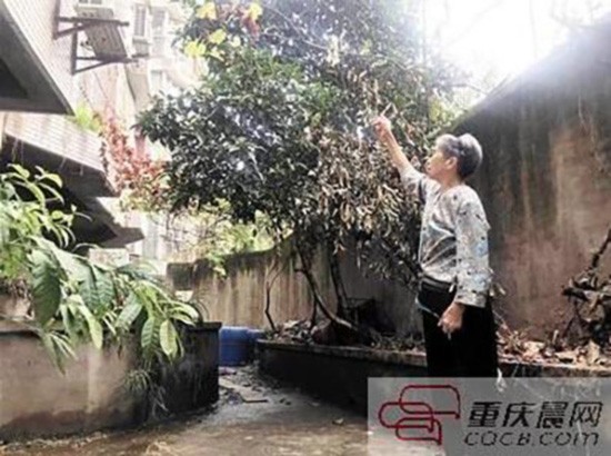 高温下老人被困出租屋 呼救4小时无人理被当疯子