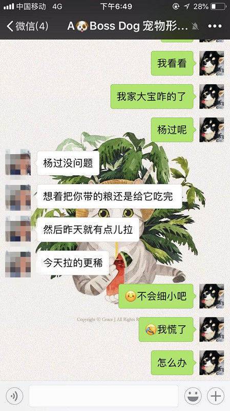 爱犬在宠物店寄养十天后死亡 主人赶到后只见骨灰盒