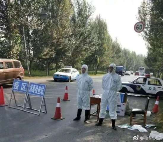 沈阳非洲猪瘟答疑:不感染人 病毒可被高温杀死