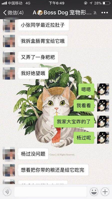 爱犬在宠物店寄养十天后死亡 主人赶到后只见骨灰盒