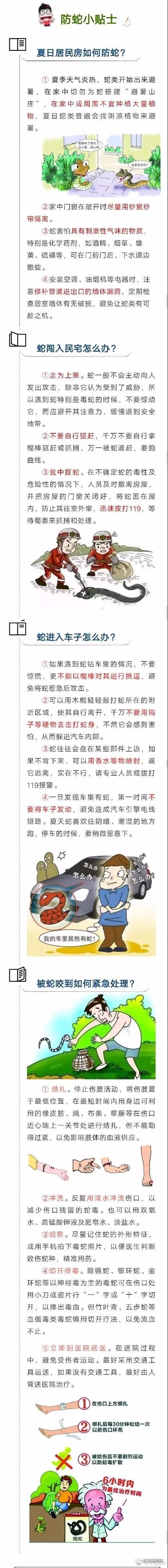 居民将蛇蛋搁屋里结果孵化了 上百条蛇爬进居民楼